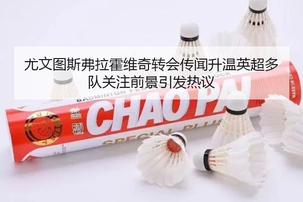 尤文图斯弗拉霍维奇转会传闻升温英超多队关注前景引发热议
